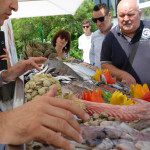 1° fishing educational Jesolo