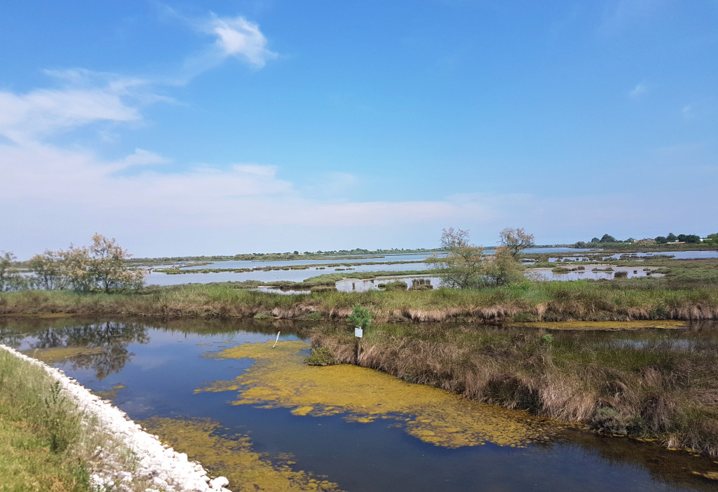 barene-e-valli-interne-nella-laguna-di-maurizio-potocnik