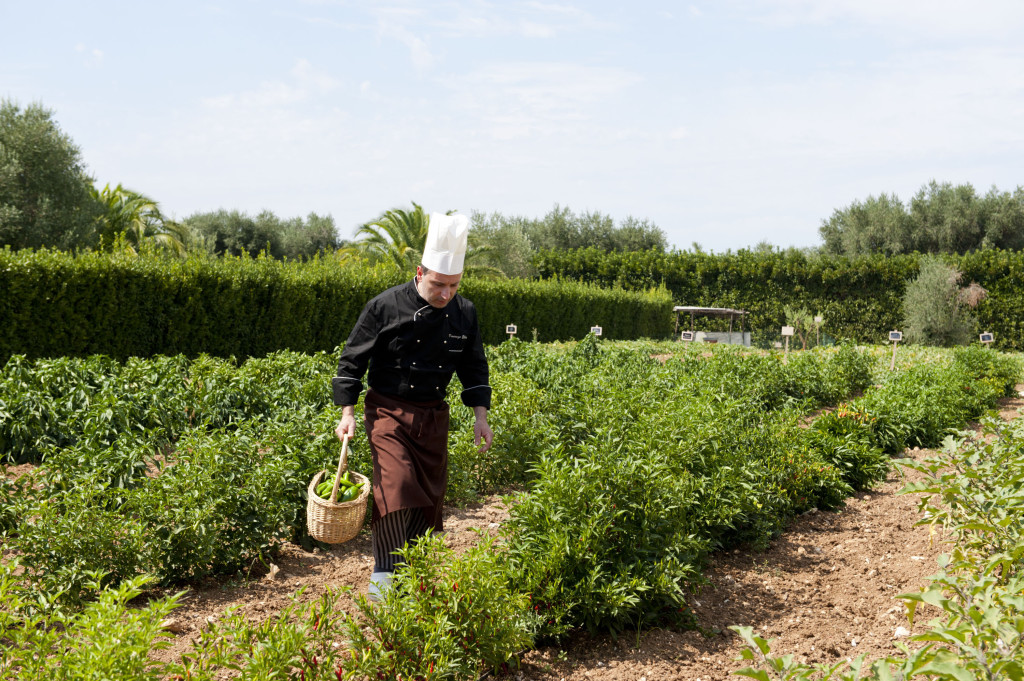 L'orto biologico di Tenuta Moreno